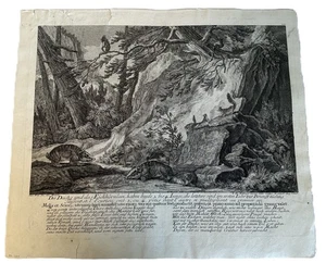 Ridinger Kupferstich Der Dachs und das Eichhörnlein aus 1736 Nr 29 40x46cm Antik - Bild 1 von 4