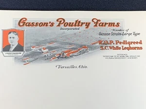 20 Vintage Letterhead GASSON's POULTRY FARMS Ped. White Leghorns Versailles Oh - Picture 1 of 5