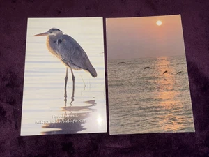 Ansichtskarten, "ERBSENINSEL / REIHER PELIKANE" 2 alte Postkarten Sleeved - Bild 1 von 3