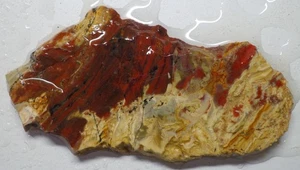 WRG- Unknown  Slab 58 grams Lapidary jasper agate rhyolite marble - Picture 1 of 4