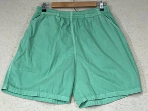 Crazy Shirts Hawaii Mens Shorts Large Aqua 100% Cotton Elastic Waist Made in USA - Picture 1 of 8
