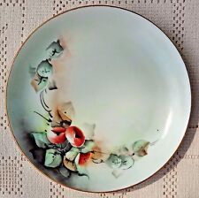 ANTIQUE EARLY 20th CENTURY HUTSCHENREUTHER SELB BAVARIA HAND PAINTED PLATE**