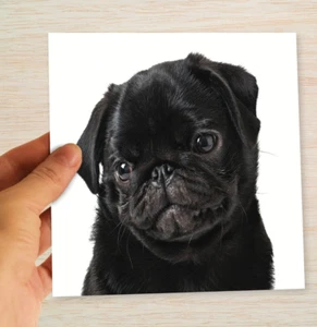 Tarjeta de perro Pug día del padre negra Pug del perro tarjeta Pug papá perro papá abuelo hijo - Imagen 1 de 10