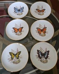 6x Schmetterling Josef Kuba Porzellan Geschirr JKW Rosenthal 7,5" W. Germany Teller - Bild 1 von 9