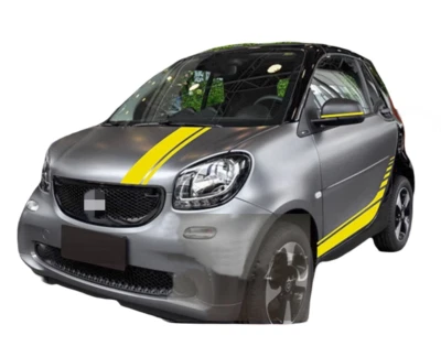 Graphic Racing Stripe Car Sticker Kit For Smart Fortwo Decal Hood Roof Rear New — 第 1/4 张图片