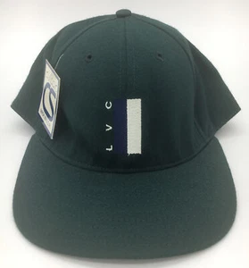 Lebanon Valley College Strapback Hat Cap Green Embroidered Classic Sportswear - Picture 1 of 7