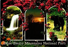 6x4" Postcard Bear, Sunset, Grotto Falls - Great Smoky Mountains Natl Pk NC & TN