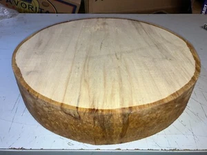 425X78MM LOT 247A GESPALTENER BERAHORN DRECHSELHOLZ ROHLING - Bild 1 von 1