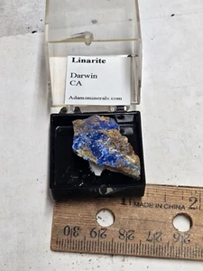 Schönes Linarit Miniaturbild Exemplar - Bild 1 von 2