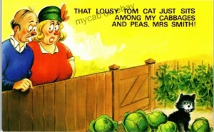 Postcard Bamforth Comic black triangle vintage number 2078 black cat Mrs Smith - Picture 1 of 2