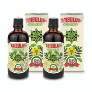 Tribulus terrestris and Ginkgo Biloba Testosterone booster Muscle gainer 2 x 100 - Picture 1 of 10