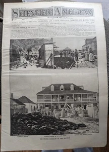 Scientific American Nov 1891 Sponge Fisheries of the Bahamas Worlds Fair Lumber - Picture 1 of 4