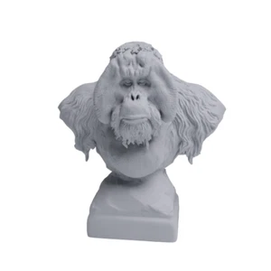 Busto de orangután de Sumatra modelo de decoración en miniatura por Animal Den Miniatures - Imagen 1 de 2