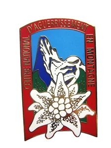 BREVET DES COMMANDOS AGUERRISSEMENT MONTAGNE C.N.A.M Y. DELSART - Picture 1 of 2