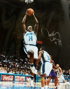 Anthony Mason Signed Charlotte Hornets 16x20 Photo JSA - Picture 1 of 1