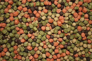 Koifuttermischung KoiMix Premium Teichfuttermix Spirulina Astax Paprika 10kg - Bild 1 von 15
