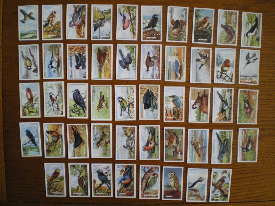 Set Gallaher BRITISH BIRDS 1937 cigarette cards in VG condition - Image 1 of 1