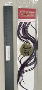 Neu Whiting gefärbt lila Fashion Pack Trockenfliegen Hahn Hackle Lot-SF 59 - Bild 1 von 4