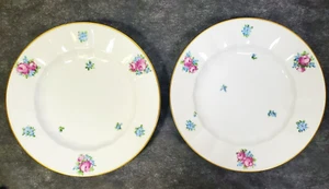 RARO Juego Antiguo 2 Platos ROYAL COPENHAGEN 9 3/4" Patrón 472 Floral 1870-1890 - Imagen 1 de 23