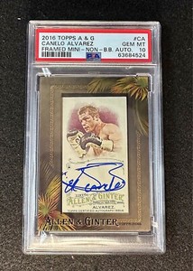 CANELO ALVAREZ PSA 10 2016 TOPPS ALLEN & GINTER FRAMED MINI AUTO BOXING POP 8