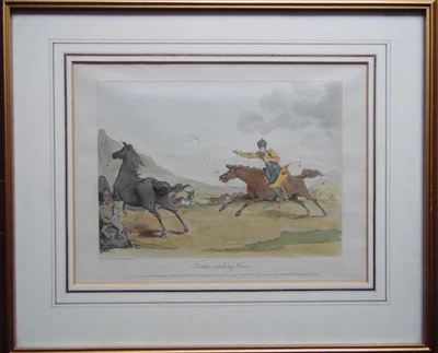 Russia Tartars Catching Horses John Atkinson 1804 H/col Etching Antique Original - Image 1 of 4
