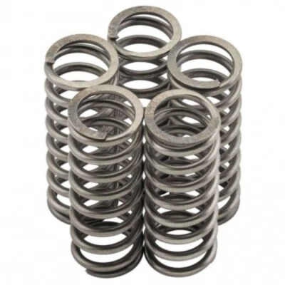 Adatta Suzuki GSX1100 SZ Katana 81-85 Kit Molla Frizione NewFren MO056F — 第 1/4 张图片