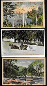 F63 R.I. 5 Pcs. Harmony Chapel, Zevu the sacred Cattle, Res. J.R. Drexel C Jones - Picture 1 of 3