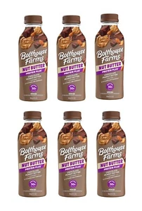 Bolthouse Farms Protein Shake Smoothie (6-Pack) Chocolate Peanut Butter, 15.2 oz - Picture 1 of 24