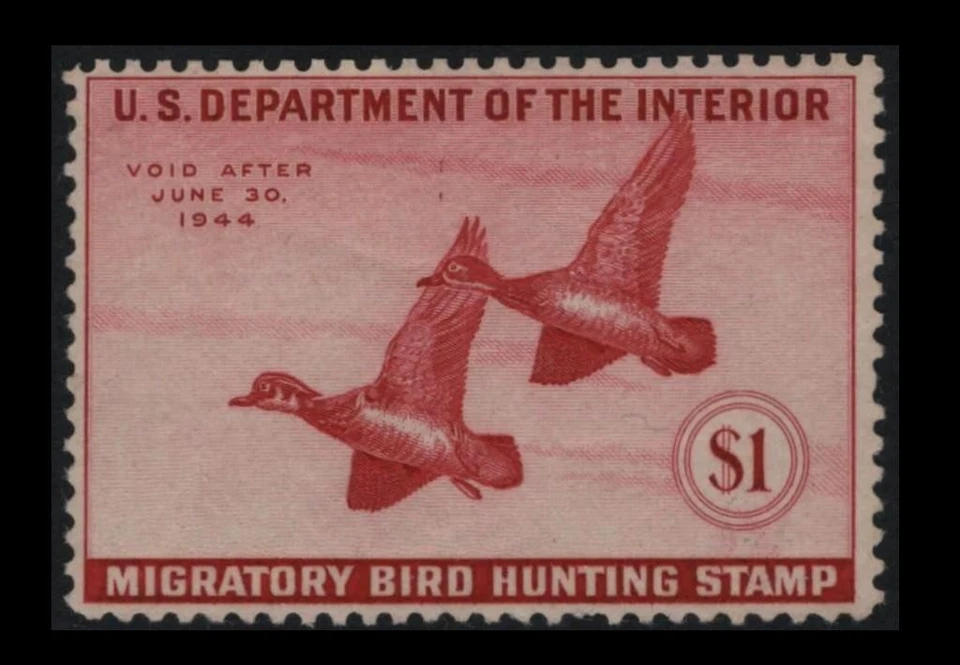 RW10 Duck Hunting $1 Rose WOOD DUCKS 1943 MNH $120 SEE PHOTOS Lot R-602 - Image 1 of 1