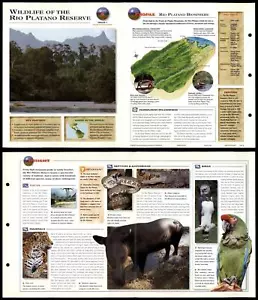 Wildlife Of The Rio Platano Reserve #4 World - Wildlife Explorer Fold-Out Card - Picture 1 of 1