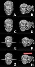Unpainted 1:12 Superman Clark Kent Effect Head Sculpt For 6'' Male Mafex Body