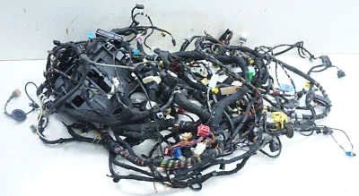 Conjunto de arnés de cables interno Audi A3 2017-2020 OEM 2,0 L Foto 1 de 4