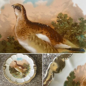 Bavaria Quail Game Bird 10” Porcelain Plate By PM Moschendorf Factory 1895-1910 - Picture 1 of 9