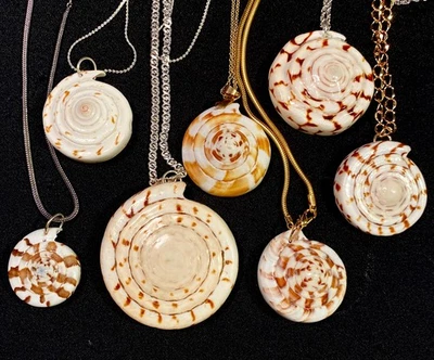 Семь Nautilus морской раковины подвеска ожерелья обратная сторона украшения - Изображение 1 из 4