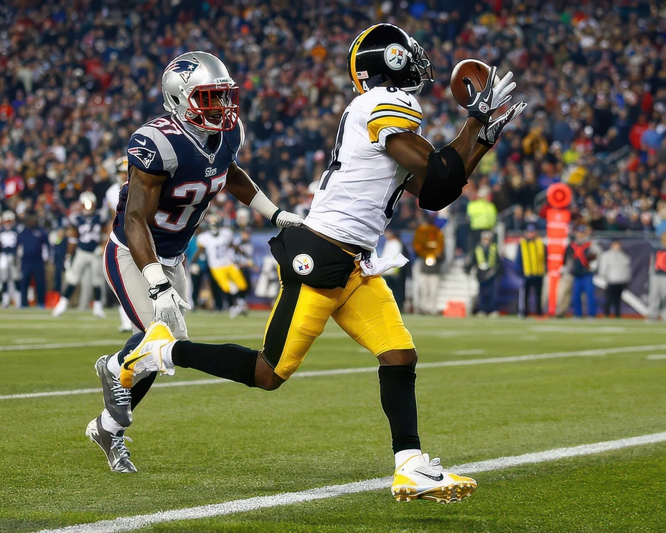 Impresión fotográfica brillante 29 Antonio Brown #84 Pittsburgh Steelers NFL 8"X10" Foto 1 de 1