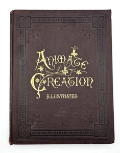 1898 ANIMATE CREATION ILLUSTRATED OUR LIVING WORLD BY REV J G WOOD Vol 4 - Picture 1 of 9