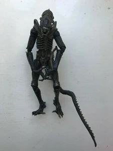 NECA ALIENS SERIES 1 BROWN XENOMORPH WARRIOR ACTION FIGURE ALIEN VS PREDATOR - Picture 1 of 4