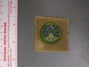 Insignia de mérito cuadrado Boy Scout Paisaje Jardinería 2034NN - Imagen 1 de 1