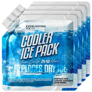 Reusable Ice Packs for Cooler (4 Pack) Up to 48 Hours Freezer Packs for Coole... - Bild 1 von 6