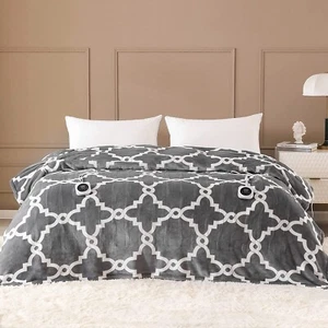 Electric Blanket Queen Size 84"x90"Heated Blanket with Dual Controllers - Picture 1 of 3