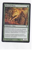 MTG 4X RUSSIAN DARK ASCENSION YOUNG WOLF MINT GREEN CREATURE COMMON MAGIC CARD