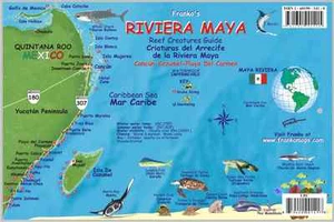 Riviera Maya Mexico Map & Reef Creatures Guide Waterproof Fish Card Franko Maps - Imagen 1 de 2