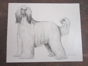 Dog (Lot E) Leigh Beavis-West Art Print Poster Interior Decor - Picture 1 of 4