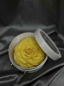 Preserved Roses That Last a Year Eternal Rose in Box Real Rose without Fragrance - Picture 1 of 2