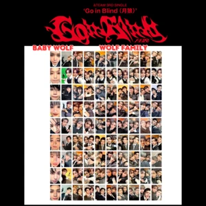 &TEAM 月狼 Go in Blind 3rd Single SOLO edition BABY WOLF FAMILY photo card andteam - Picture 1 of 81