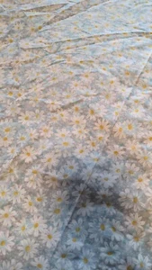 Fabric Traditions Daisy Delight IV Violet, Quilting by the yard - Picture 1 of 2