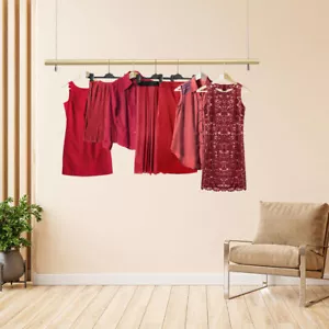 Ceiling Mounted Garment Hanger Closet Organizer Hanging Rod Clothes Rack - Picture 1 of 15