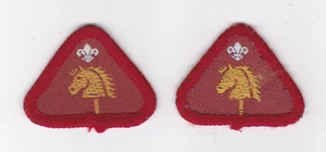 1980-2000 BRITÁNICO / UK SCOUTS - CUB SCOUT HOBBIES INSIGNIA DE COMPETENCIA (2 VAR) - Imagen 1 de 2