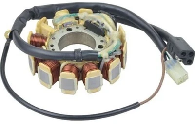 Estator de carga Wild Boar - 340-22018 252924 Foto 1 de 3