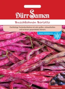 Dürr Samen Buschbohnen Borlotto Bohnen Saatgut 0328 - Bild 1 von 1